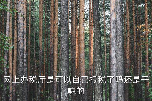 什么是網(wǎng)上辦稅服務(wù)廳，電子申報管理系統(tǒng)和網(wǎng)上辦稅大廳有什么不同的