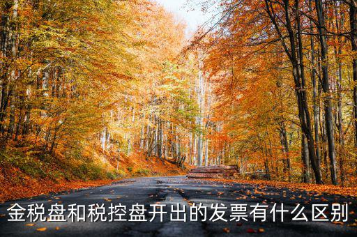 金稅盤(pán)和稅控盤(pán)開(kāi)出的發(fā)票有什么區(qū)別