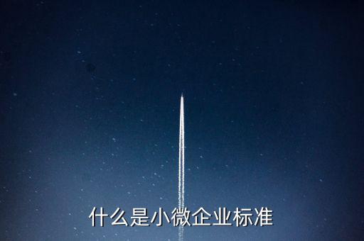 什么樣的標(biāo)準(zhǔn)是小薇企業(yè)，什么是小微企業(yè)標(biāo)準(zhǔn)