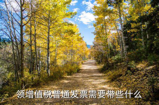 領(lǐng)發(fā)票帶什么資料，去稅務(wù)局領(lǐng)發(fā)票需要帶什么資料去