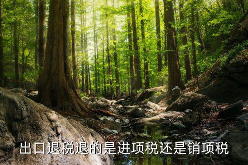 出口退稅退的是什么稅，出口退稅退的是進(jìn)項(xiàng)稅還是銷項(xiàng)稅