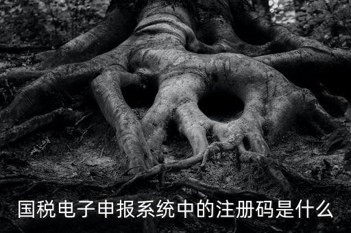 納稅申報碼是什么碼，什么是納稅申報號