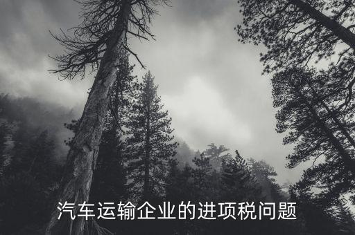 運(yùn)輸公司的進(jìn)項(xiàng)是什么，公路運(yùn)輸業(yè)進(jìn)項(xiàng)稅額含哪些