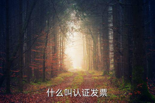 什么叫認證發(fā)票，什么叫認證增值稅發(fā)票如何認證好像還有手工認證是怎么回事啊