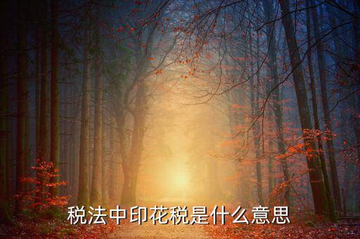 地稅交的5元印花稅是什么意思球鞋，稅法中印花稅是什么意思