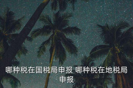 國稅局可以申報(bào)什么稅，在國稅申報(bào)的稅種有哪些稅率是多少