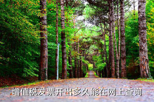 發(fā)票什么時候網(wǎng)上能查到，對方開具的增值稅發(fā)票什么時候能上網(wǎng)查詢到