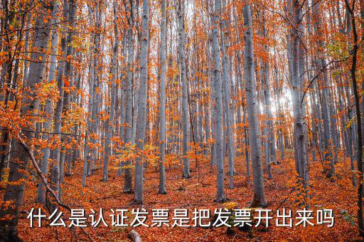 什么是認(rèn)證發(fā)票是把發(fā)票開出來(lái)嗎