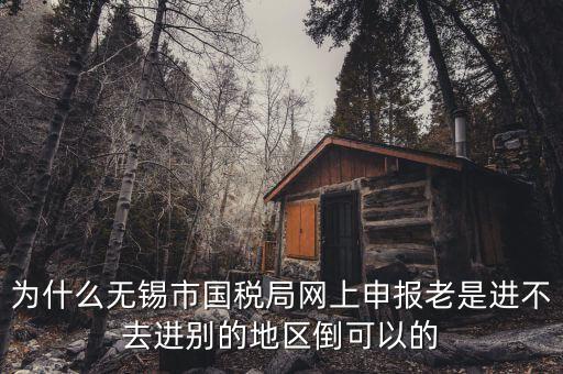 無錫網(wǎng)上辦稅服務(wù)廳為什么進不去，為什么我登錄不上網(wǎng)上辦稅服務(wù)廳啊