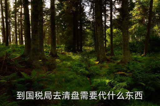到國(guó)稅局去清盤需要代什么東西