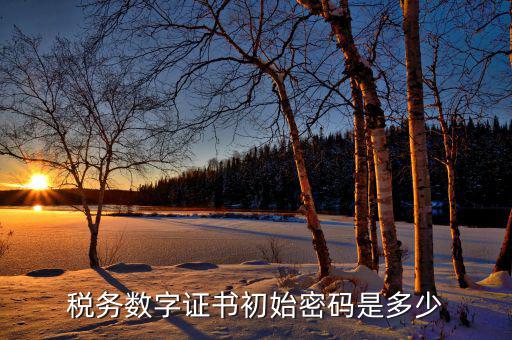 金稅盤ca密碼是什么，稅務(wù)密鑰是什么東西是數(shù)字證書嗎