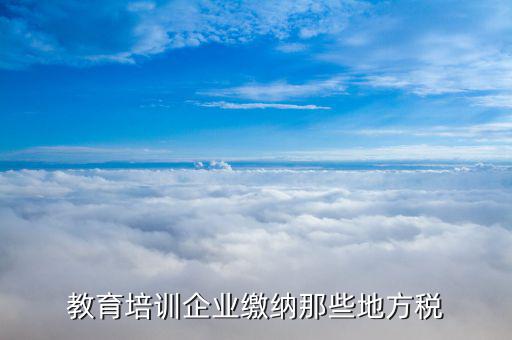 培訓(xùn)機(jī)構(gòu)應(yīng)交什么稅，民辦非企業(yè)培訓(xùn)類學(xué)校應(yīng)交什么稅 請(qǐng)教指點(diǎn)