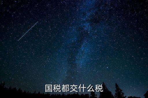國稅五項稅種都是什么，國稅包括哪些稅種