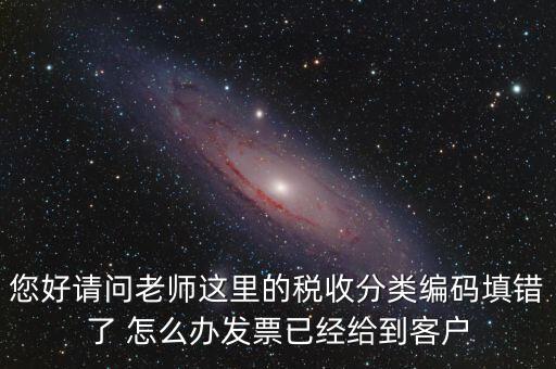 稅收分類編碼錯誤的是什么，汽車導(dǎo)航儀稅收分類編碼是什么