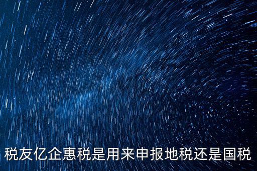 稅友報稅的是什么，稅友億企惠稅是用來申報地稅還是國稅