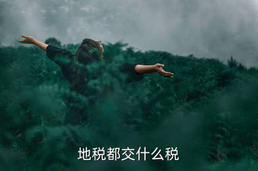 地稅需要報什么稅種，地稅應交哪些稅