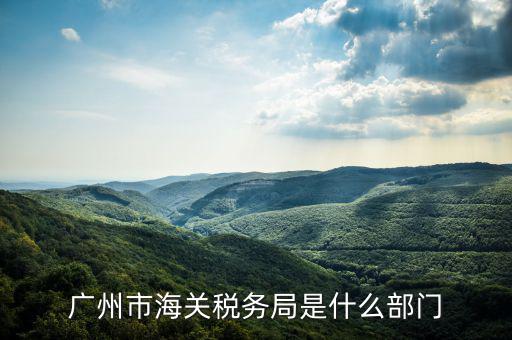 稅務(wù)總局國際司干什么，國家稅務(wù)總局是正部級