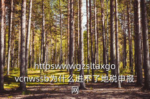 為什么上不去河北地稅網(wǎng)，地稅的網(wǎng)站現(xiàn)在進(jìn)不去不知是什么原因