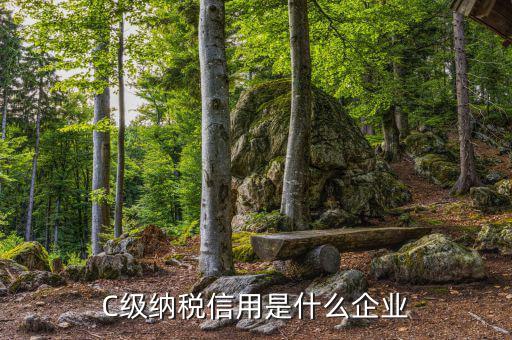 稅務等級c級是什么意思，申請一般納稅人abc類是什么意思