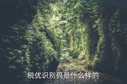 稅優(yōu)碼是什么，稅務(wù)管理碼是什么