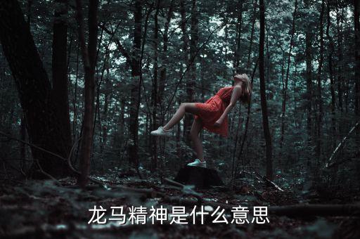 湖北國稅精神是什么意思，神志不清精神不能集中是什么詞的意思