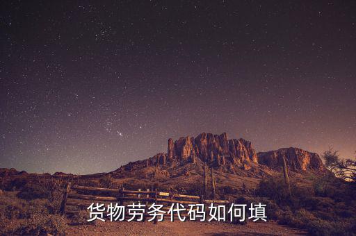 貨物勞務(wù)代碼是什么，貨物勞務(wù)代碼如何填