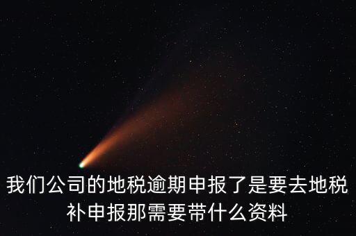 逾期申報(bào)需要帶什么資料，我們公司的地稅逾期申報(bào)了是要去地稅補(bǔ)申報(bào)那需要帶什么資料