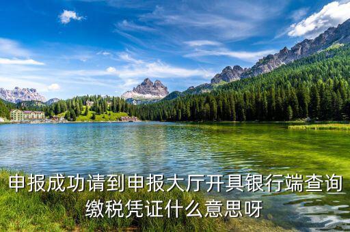 銀行端查詢繳稅憑證蓋什么章，銀行端查詢繳款憑證工會蓋什么章