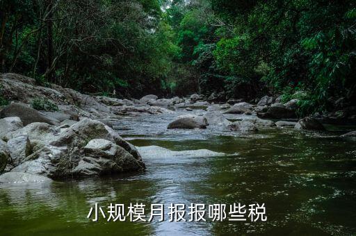小規(guī)模納稅人季報(bào)什么，公司是小規(guī)模納稅人月報(bào)和季報(bào)時(shí)國稅和地稅各需報(bào)什么  搜
