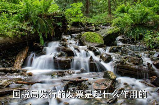 國(guó)家稅務(wù)局發(fā)票有什么用，發(fā)票有哪些作用呢