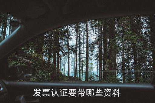 網(wǎng)上認證發(fā)票需要什么，發(fā)票認證要帶哪些資料