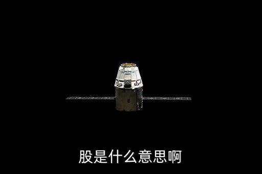 人教股什么意思，股是什么意思啊
