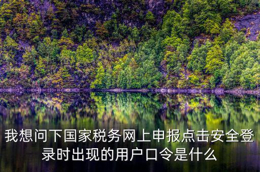 我想問下國家稅務網上申報點擊安全登錄時出現(xiàn)的用戶口令是什么
