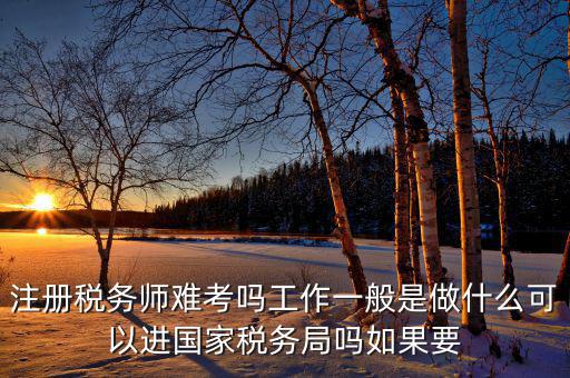 稅務(wù)師是什么，注冊(cè)稅務(wù)師能干什么待遇怎么樣
