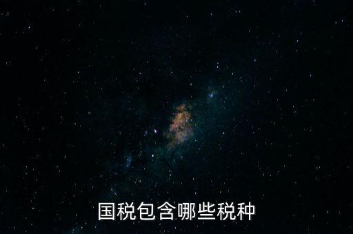 國(guó)稅發(fā)票有什么項(xiàng)目，國(guó)稅通用手工發(fā)票可以開(kāi)什么項(xiàng)目經(jīng)營(yíng)范圍是道路普通貨物運(yùn)輸