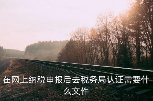 在網(wǎng)上納稅申報后去稅務(wù)局認證需要什么文件