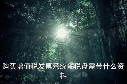 購買金稅盤要什么資料，購買增值稅發(fā)票系統(tǒng)金稅盤需帶什么資料