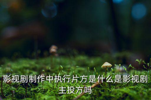 什么是分立主導方，股權分立是什么意思