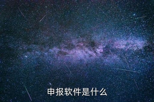 國稅申報(bào)軟件叫什么，申報(bào)軟件是什么