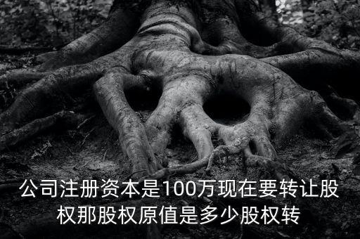 股權(quán)原值是什么意思，公司注冊(cè)資本是100萬現(xiàn)在要轉(zhuǎn)讓股權(quán)那股權(quán)原值是多少股權(quán)轉(zhuǎn)