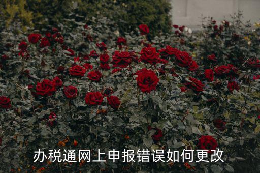 更改辦稅人什么網(wǎng)站，國稅變更財務(wù)人員在哪里變更稅控盤上可以更改嗎