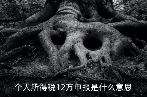 申報(bào)個(gè)稅是什么意思，12萬以上個(gè)人所得稅申報(bào)是什么意思