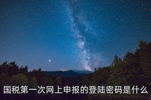 國稅登錄賬號密碼是什么意思，國稅第一次網(wǎng)上申報的登陸密碼是什么