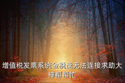 為什么金稅盤連接不上，金稅盤直接進(jìn)不去怎么回事啊