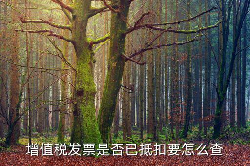 進(jìn)項(xiàng)抵扣發(fā)票什么查，增值稅發(fā)票是否已抵扣要怎么查