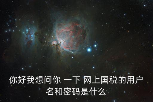 稅號和密碼是什么，國稅第一次網(wǎng)上申報的登陸密碼是什么