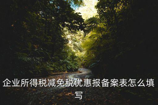 什么是稅收優(yōu)惠備案表，企業(yè)所得稅優(yōu)惠備案表填寫急