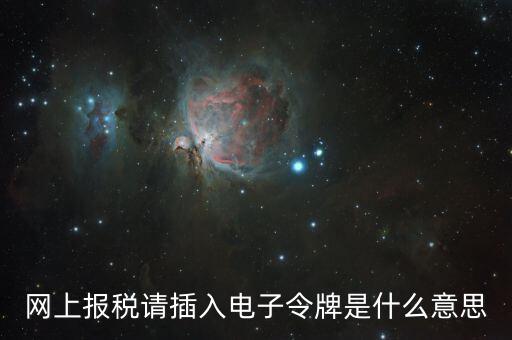 報稅數字證書口令是什么意思，網上報稅請插入電子令牌是什么意思