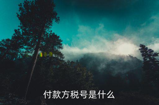 稅務(wù)所號(hào)是什么，繳稅賬號(hào)類型是什么