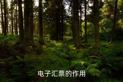 電子發(fā)票作用是什么，電子發(fā)票系統(tǒng)能做什么用